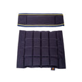 Chair and backrest blue/gold