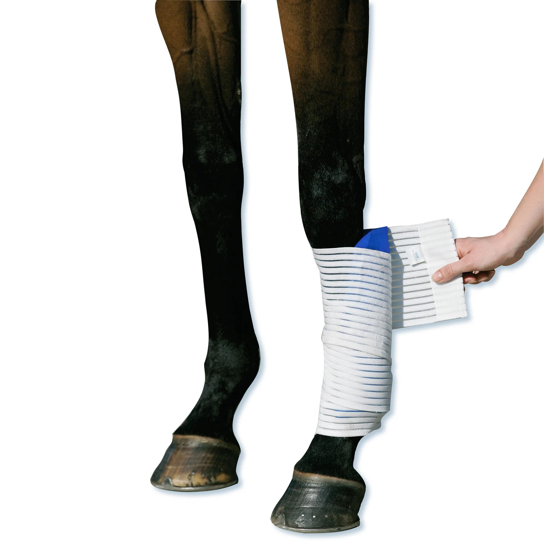 stübben Kryo Kompakt Horse elastische Bandage