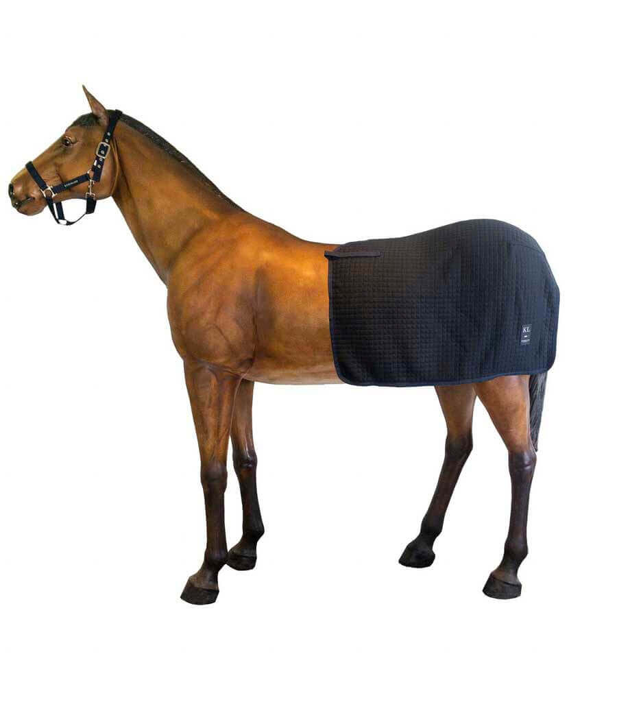 Kingsland WOOL EVOLUTION EXERCISE RUG