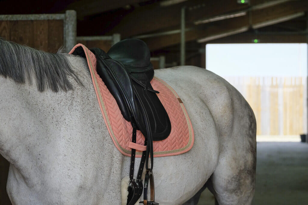 EQUITHÈME „SOFTY" SCHABRACKE lachs