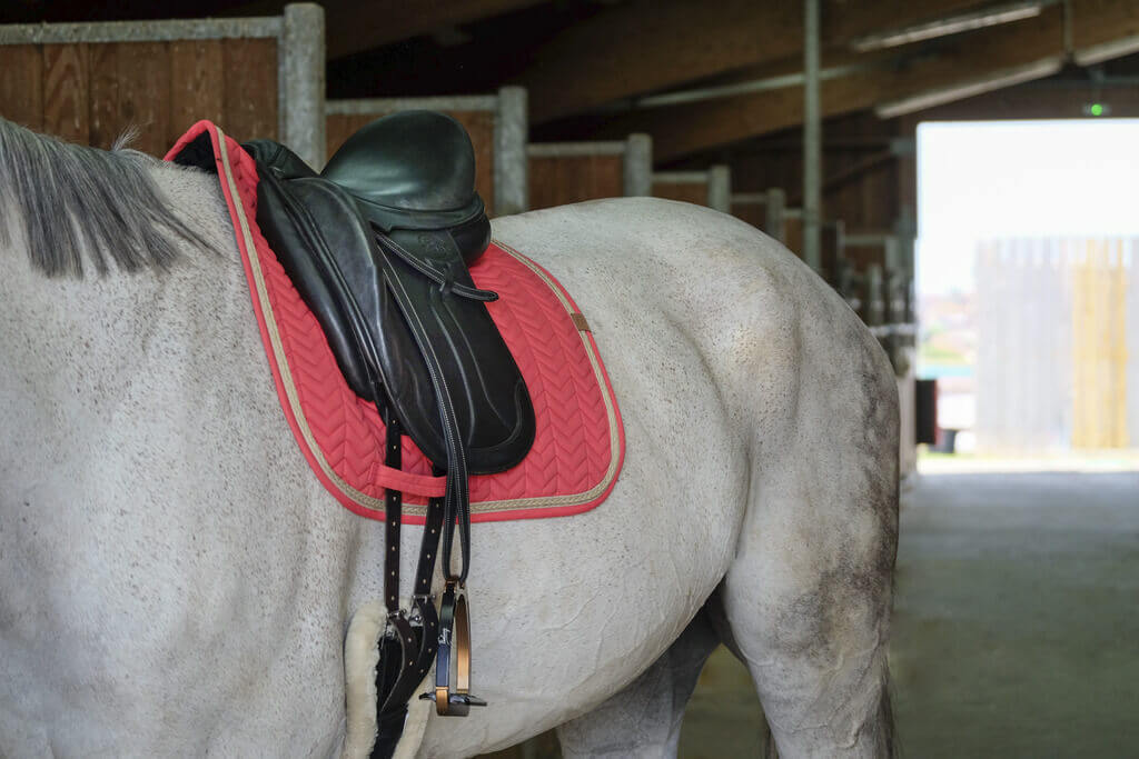 EQUITHÈME „SOFTY" SCHABRACKE himbeer