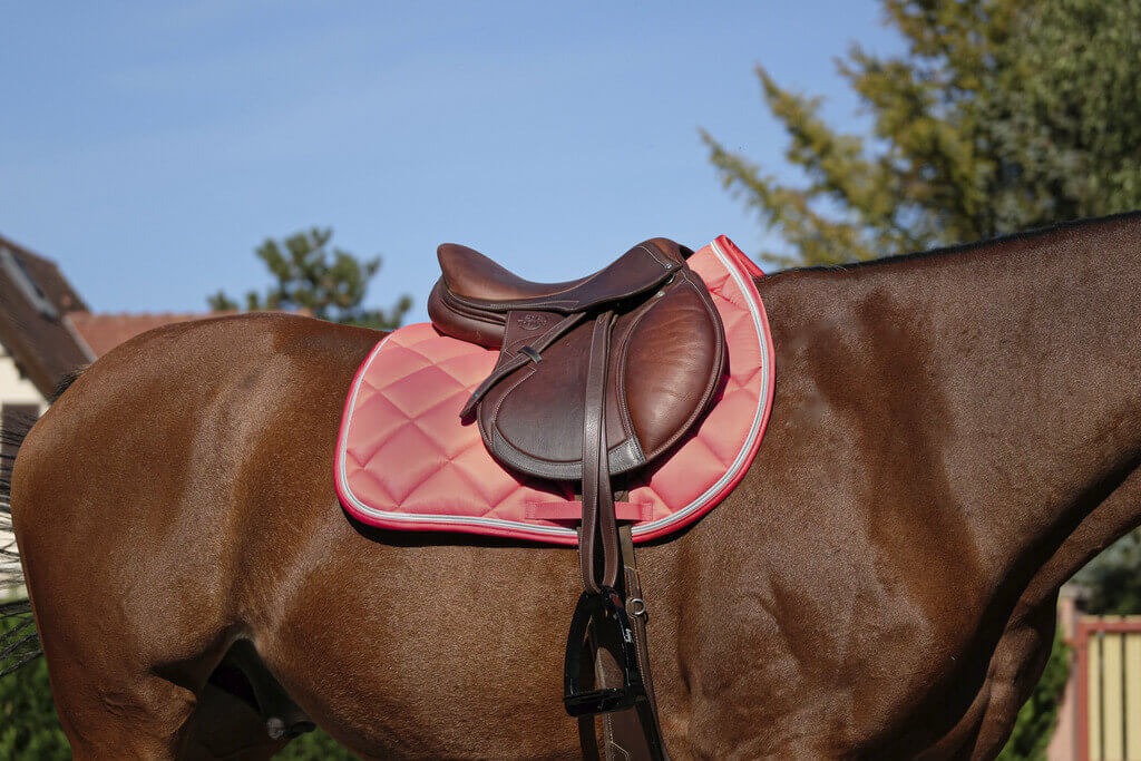 schabracke_equithem_classsic_greemilla_pferdesport