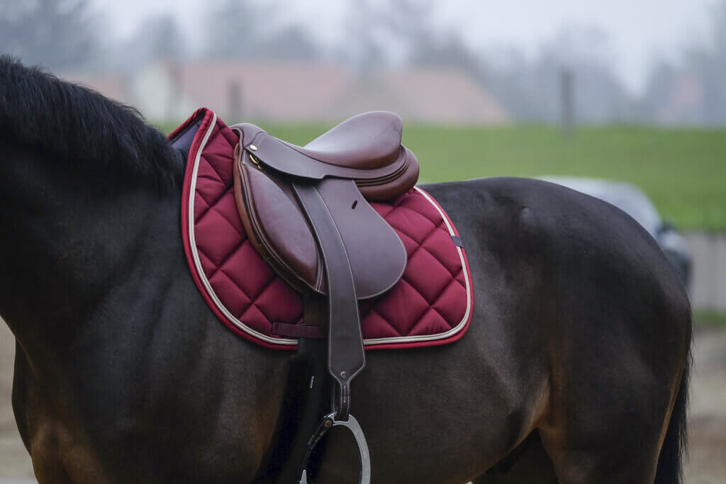 schabracke_equithem_classsic_greemilla_pferdesport