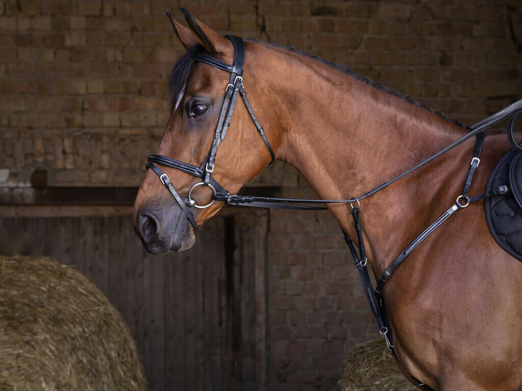 Eric Thomas Hybrid Vorderzeug