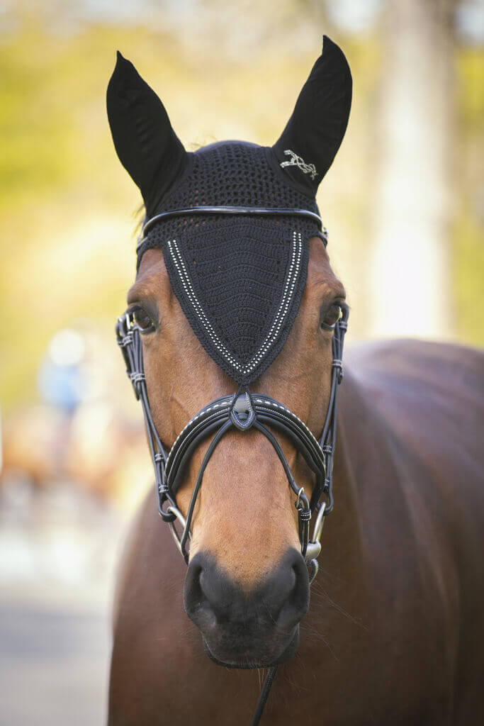 Penelope Fliegenhaube Strass schwarz