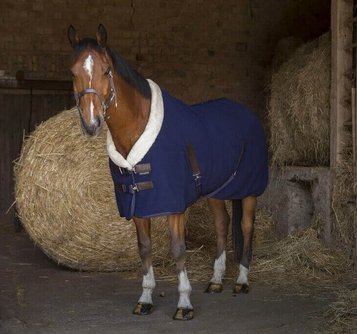 EquiThème Teddy Polarfleece Decke