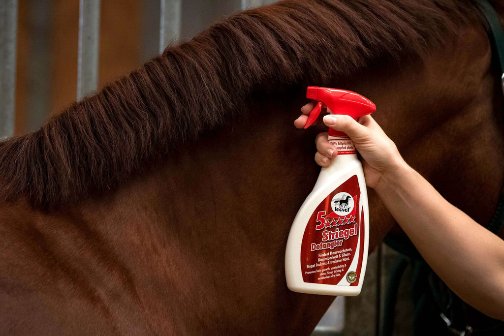 leovet 5-Sterne Striegel