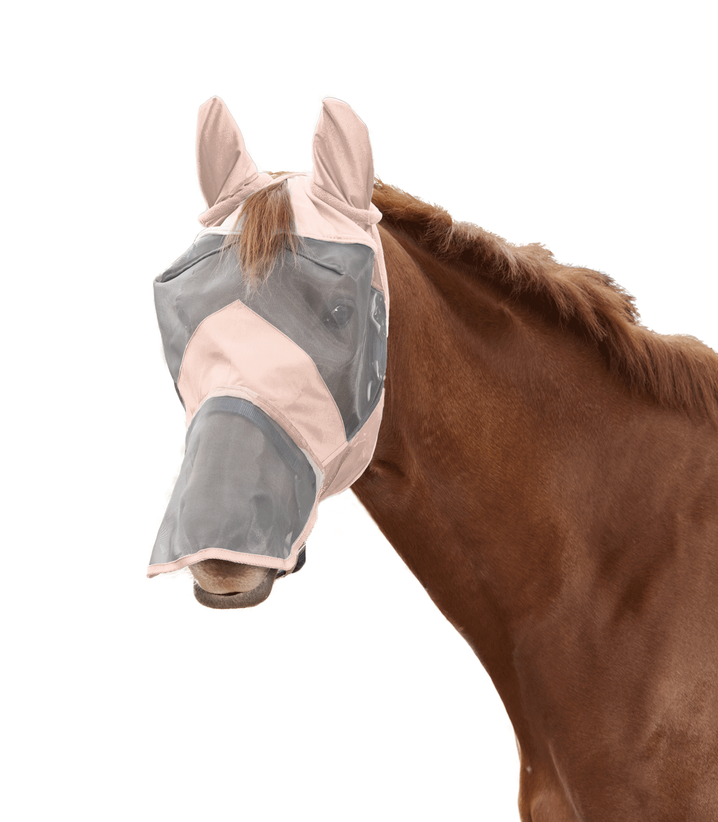Premium Fliegenmaske mit Ohren- und Nasenschutz