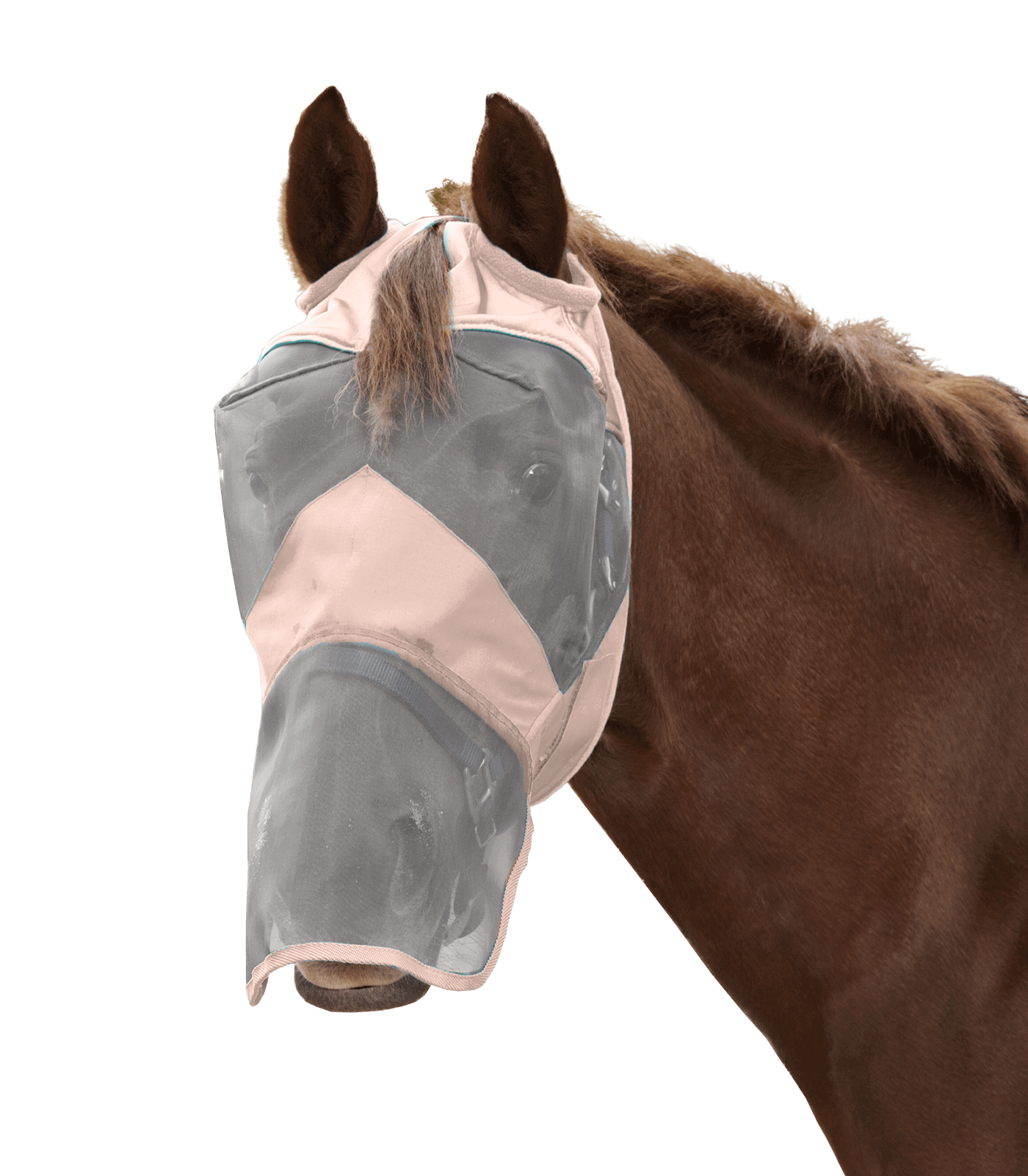 Premium Fliegenmaske ohne Ohren- mit Nasenschutz
