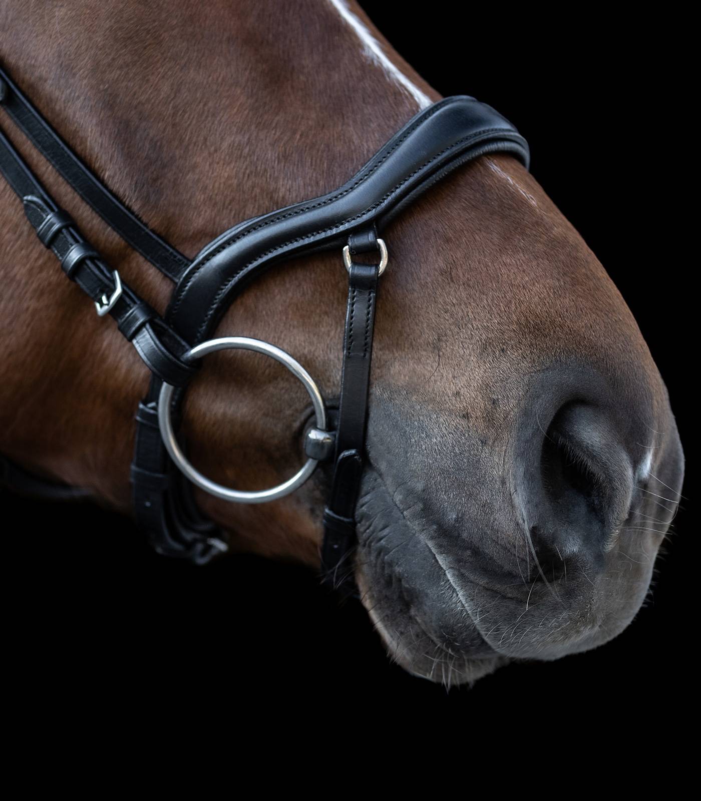 Trensenzaum X-LINE NEW SHAPE II