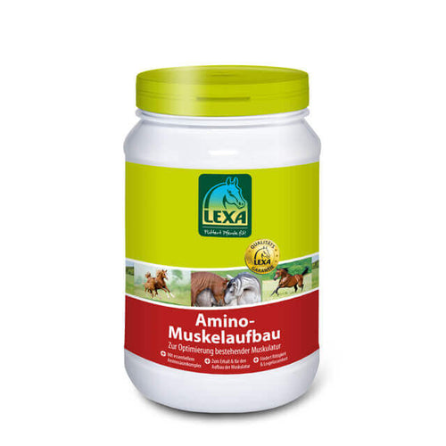 lexa_amino_muskelaufbau_greemillaa