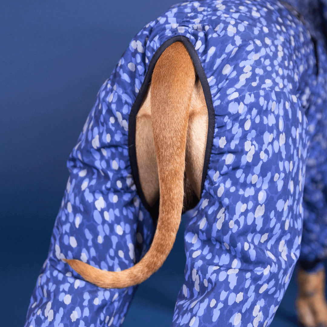 PAIKKA Winteranzug für Hunde blau