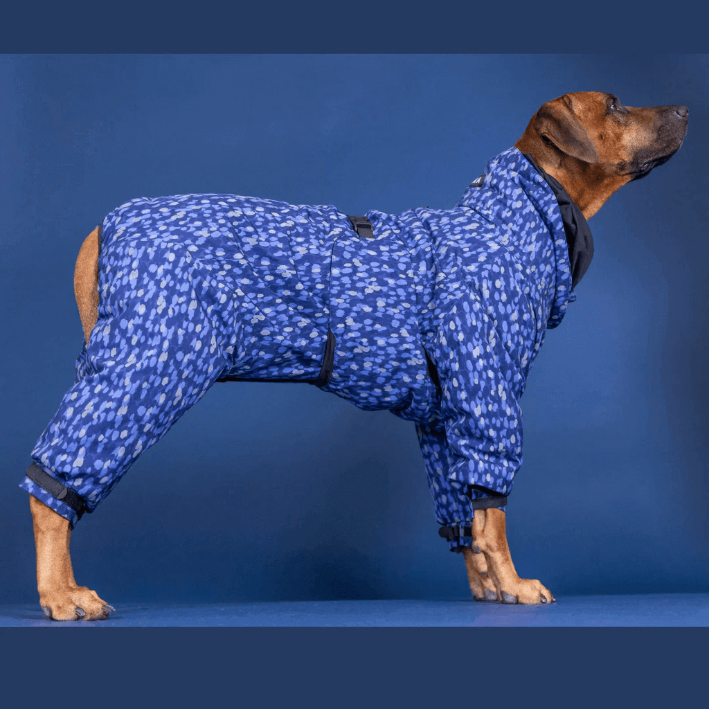 PAIKKA Winteranzug für Hunde blau