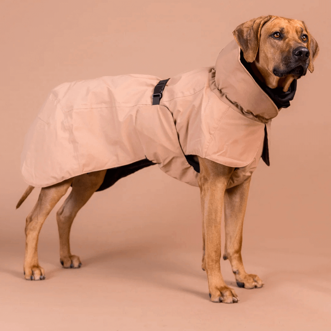 PAIKKA Visibility Wintermantel für Hunde Wool Taupe