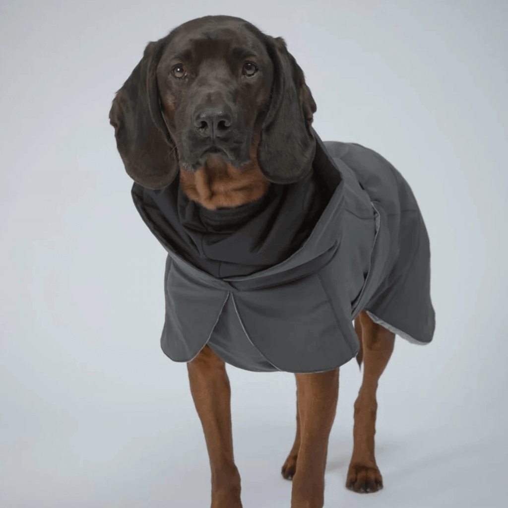 PAIKKA Visibility Wintermantel für Hunde Dark