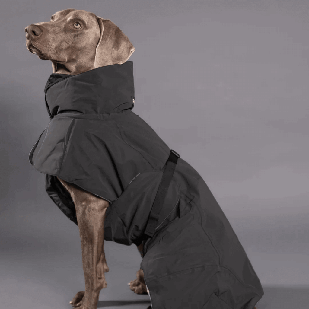 PAIKKA Visibility Wintermantel für Hunde Dark
