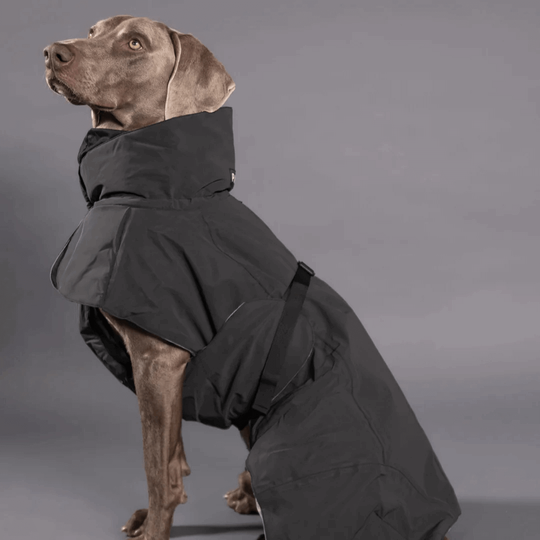 PAIKKA Visibility Wintermantel für Hunde Dark