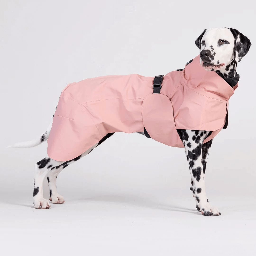 PAIKKA Visibility Regenmantel Lite für Hunde Rose