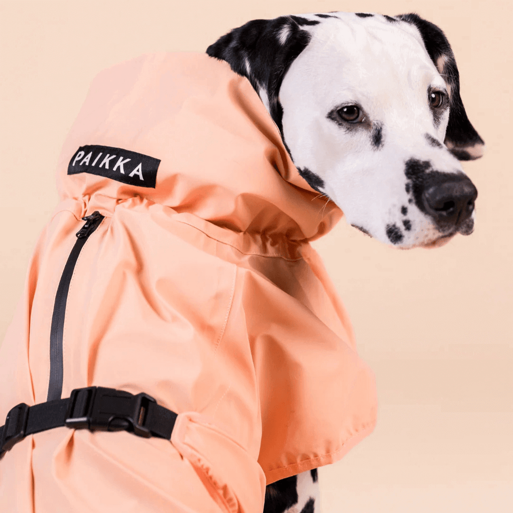 PAIKKA Reflektierender Regenmantel für Hunde Pfirsich