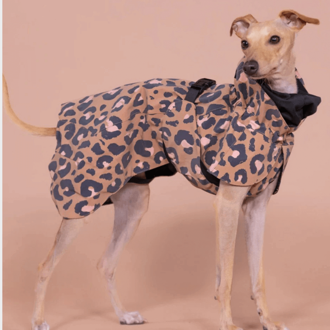 PAIKKA Visibility Regenmantel Lite für Hunde Leo