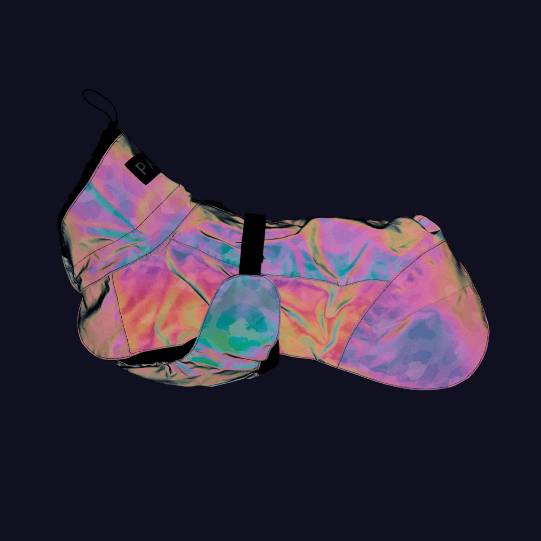 PAIKKA Visibility Regenmantel Lite für Hunde Leo grün