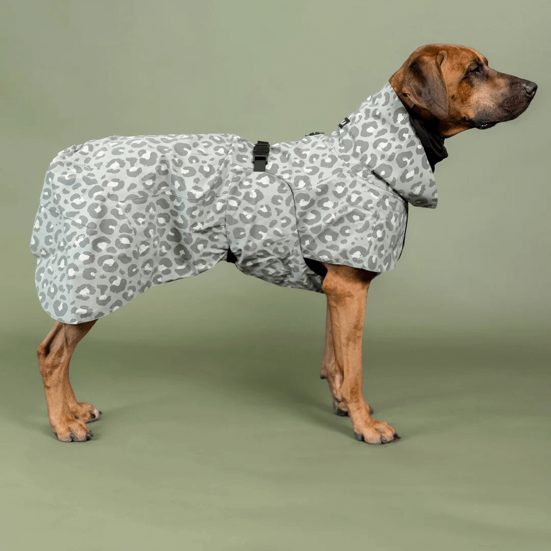 PAIKKA Visibility Regenmantel Lite für Hunde Leo grün