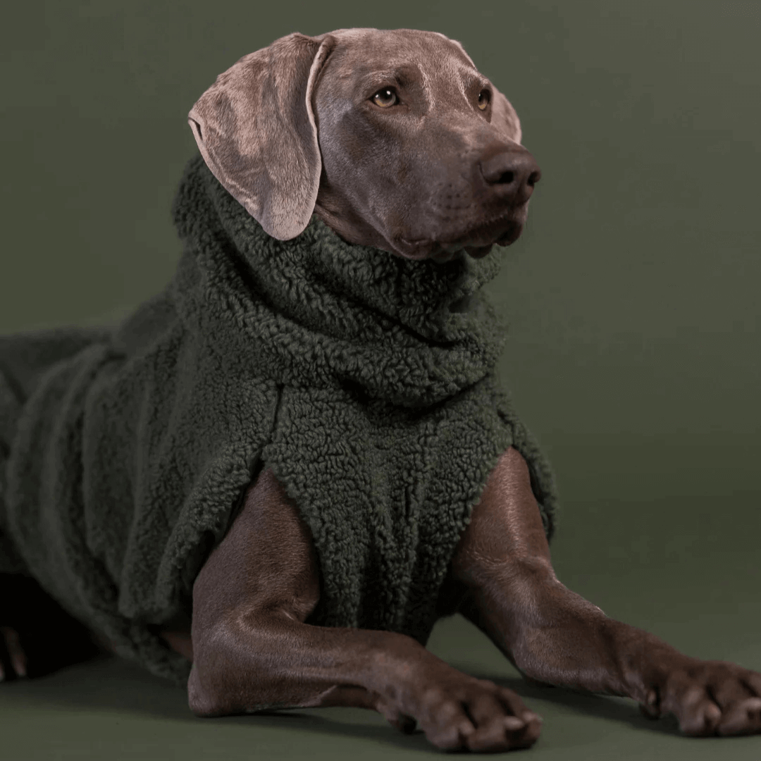 PAIKKA Sherpa Mantel für Hunde – Olive