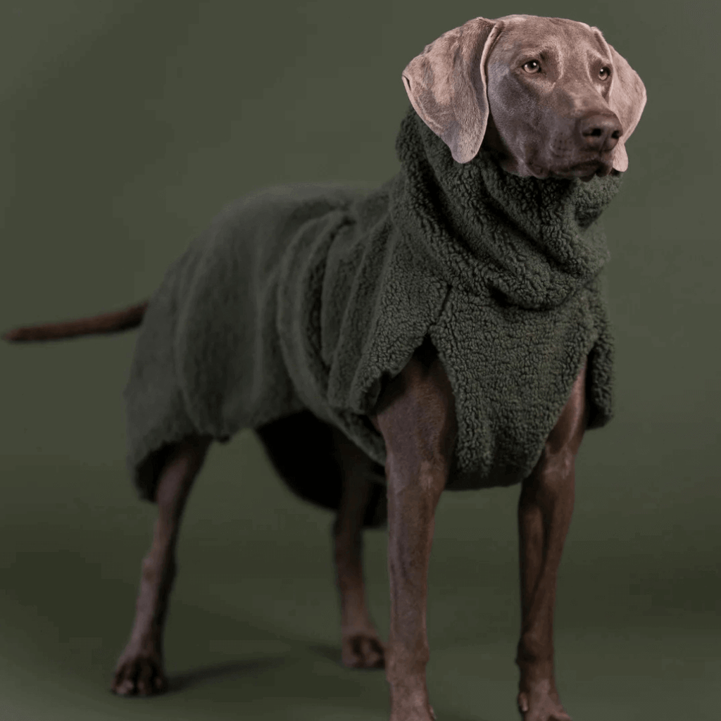 PAIKKA Sherpa Mantel für Hunde – Olive