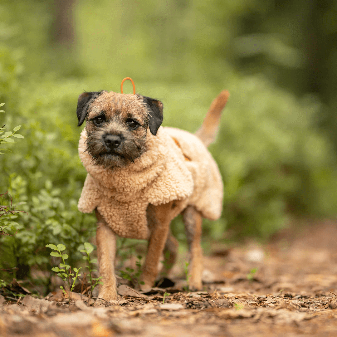 PAIKKA Sherpa Mantel für Hunde – Taupe