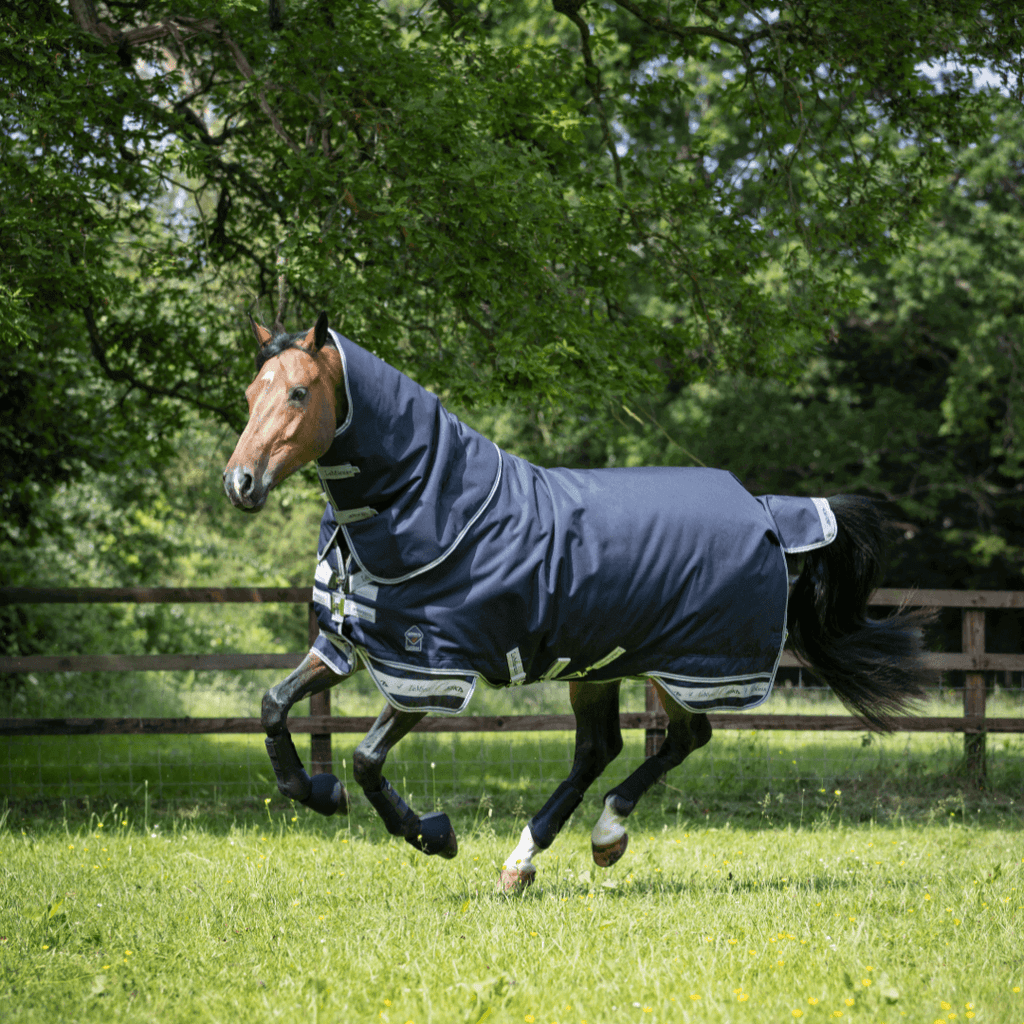 LeMieux Weidedecke Arika Storm-Tek 200g