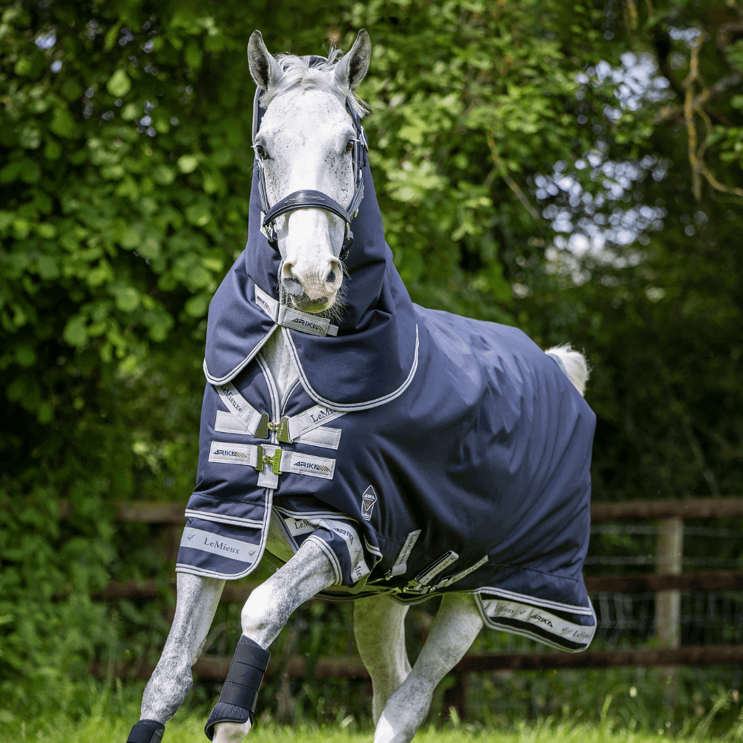 LeMieux Weidedecke Arika Storm-Tek 200g