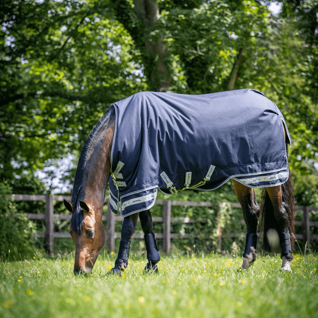 LeMieux Weidedecke Arika Storm-Tek 200g