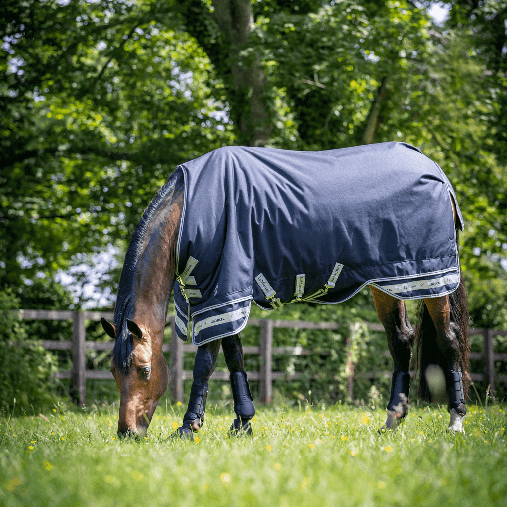 LeMieux Weidedecke Arika Storm-Tek 350 g