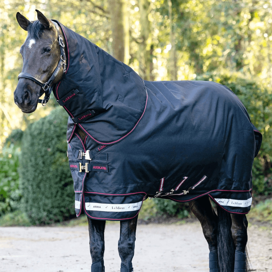 LeMieux Arika Storm-Tek Decke 100?g