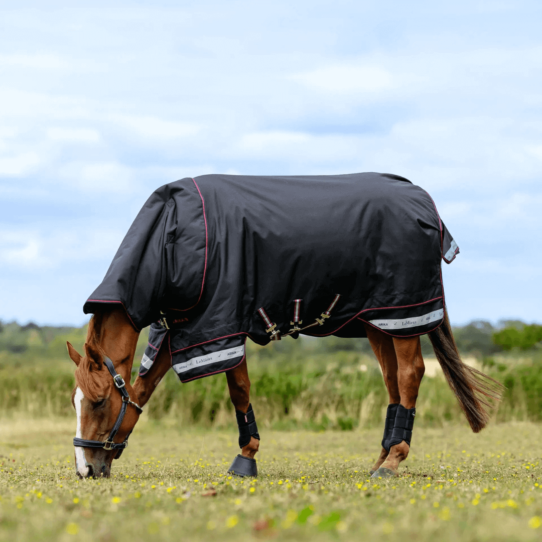 LeMieux Arika Storm-Tek Decke 350g