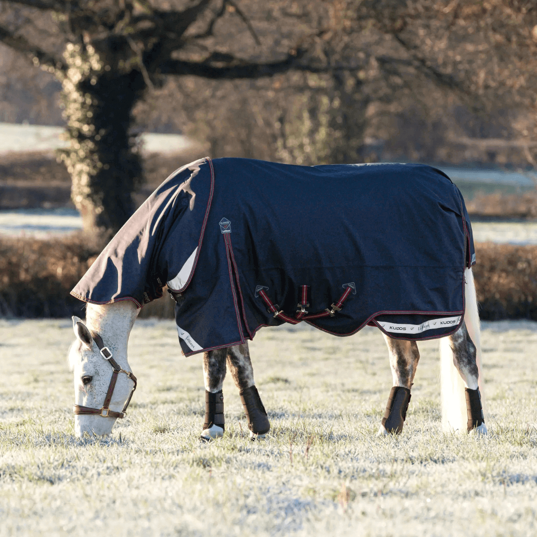 LeMieux Weidedecke Kudos 100g