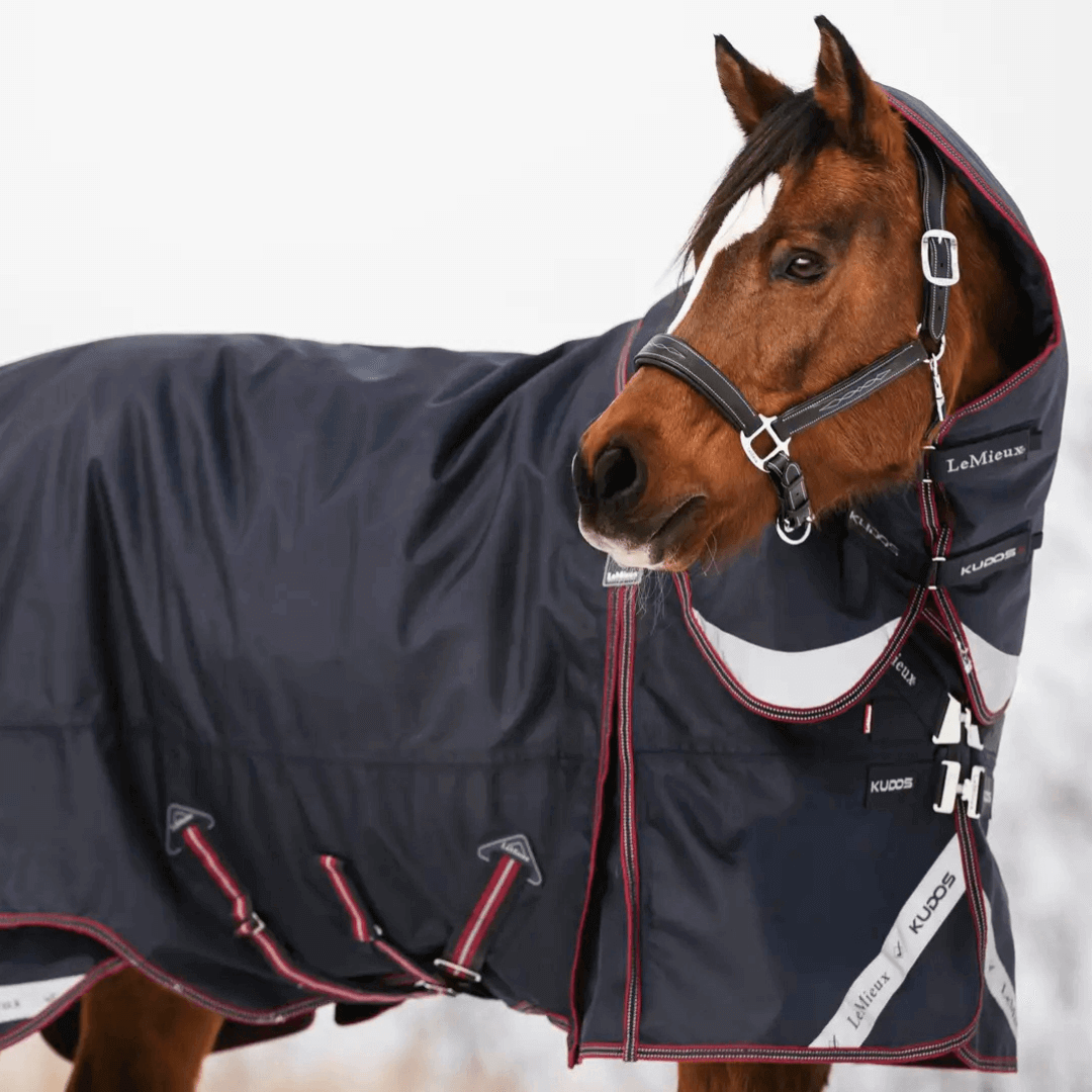 LeMieux Weidedecke Kudos 200g