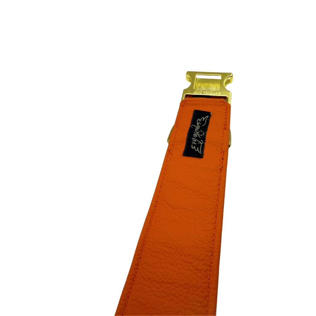 Amia De Lis Hundehalsband Leoliebe orange