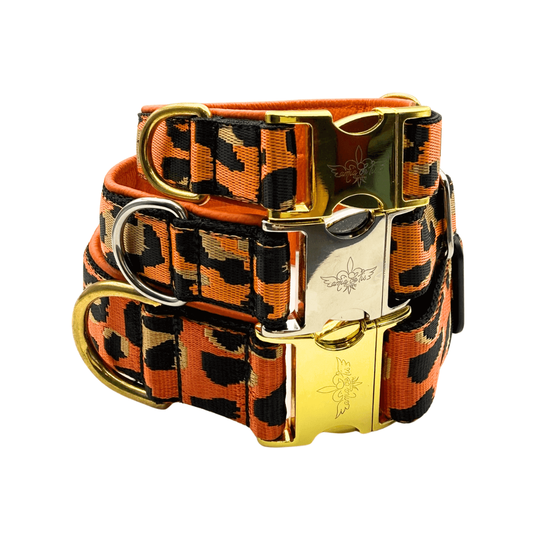 Amia De Lis Hundehalsband Leoliebe orange