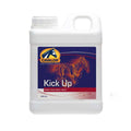 cavalor_kickup_greemillaa_pferdesport