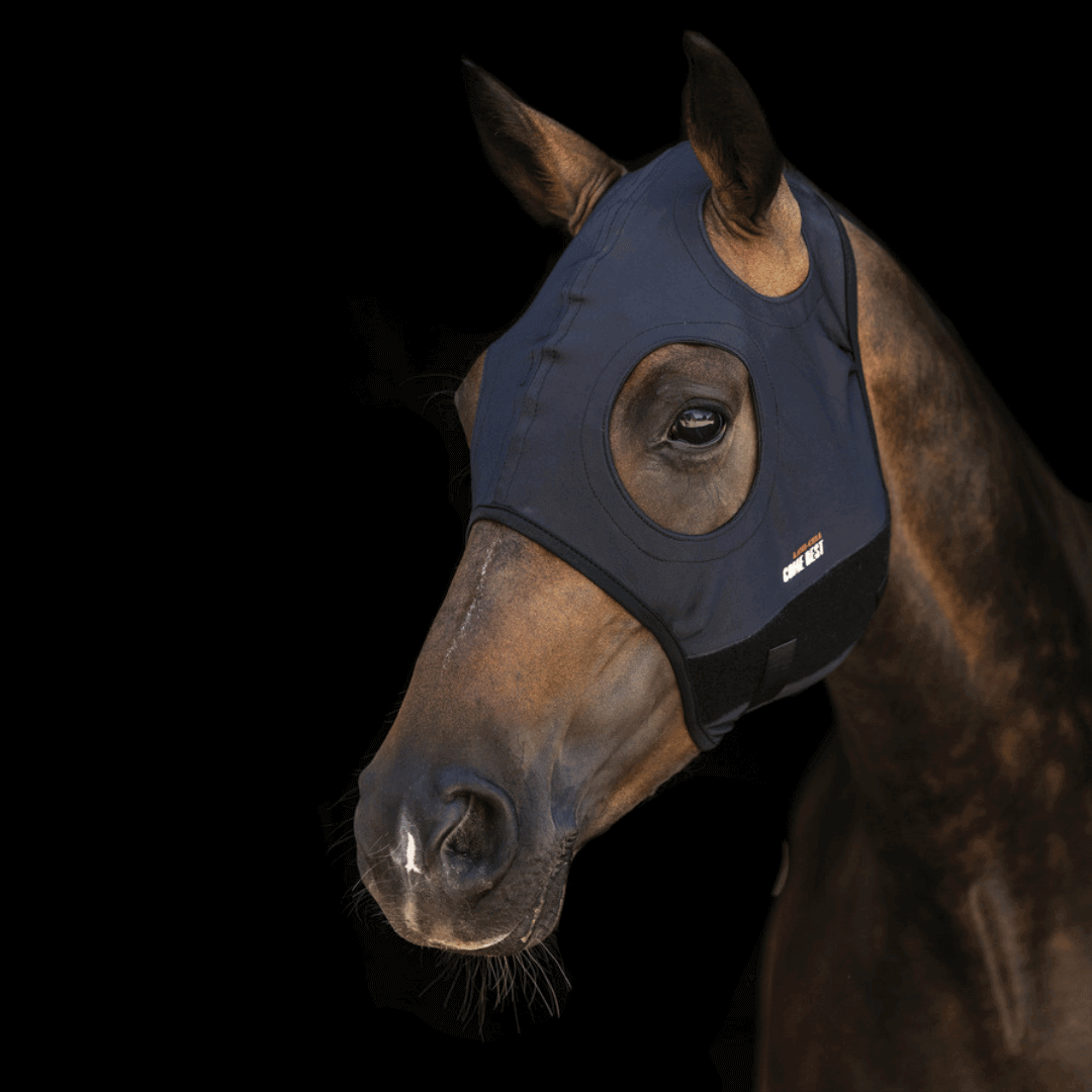 Lami-Cell Titanium Maske ohne Ohren