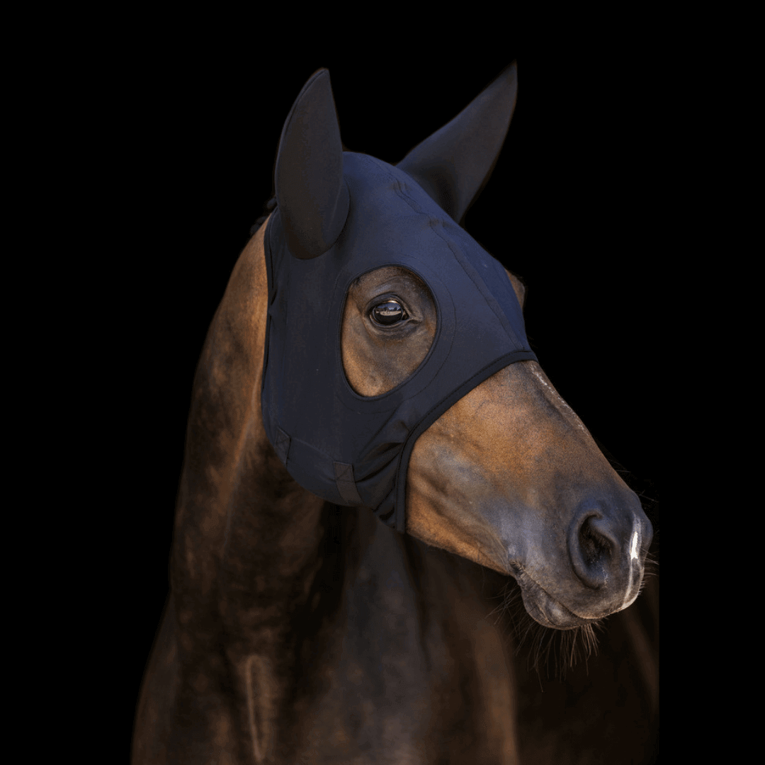 Lami-Cell Titanium Maske mit Ohren