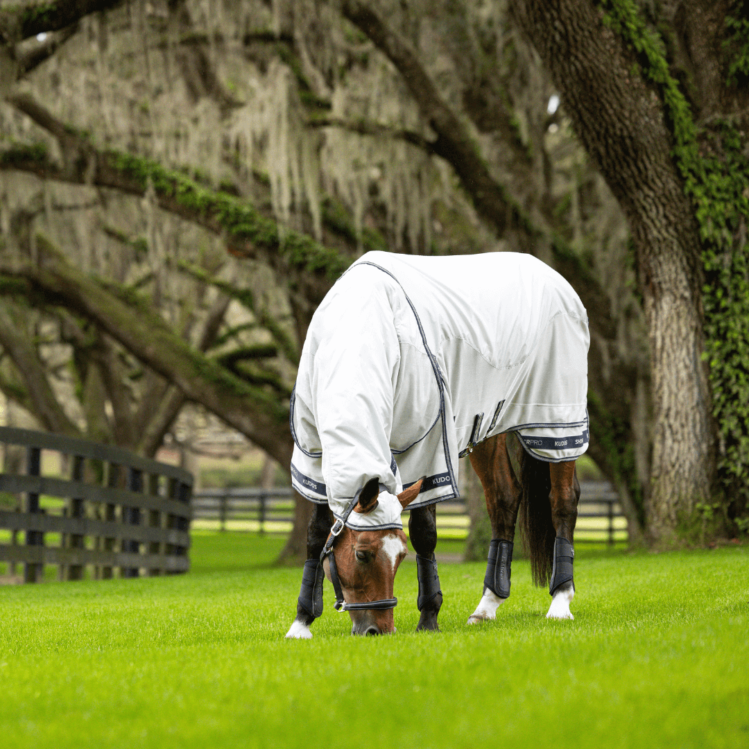 Kudos_Shower-Pro_wasserdichte_Fliegendecke_greemillaa