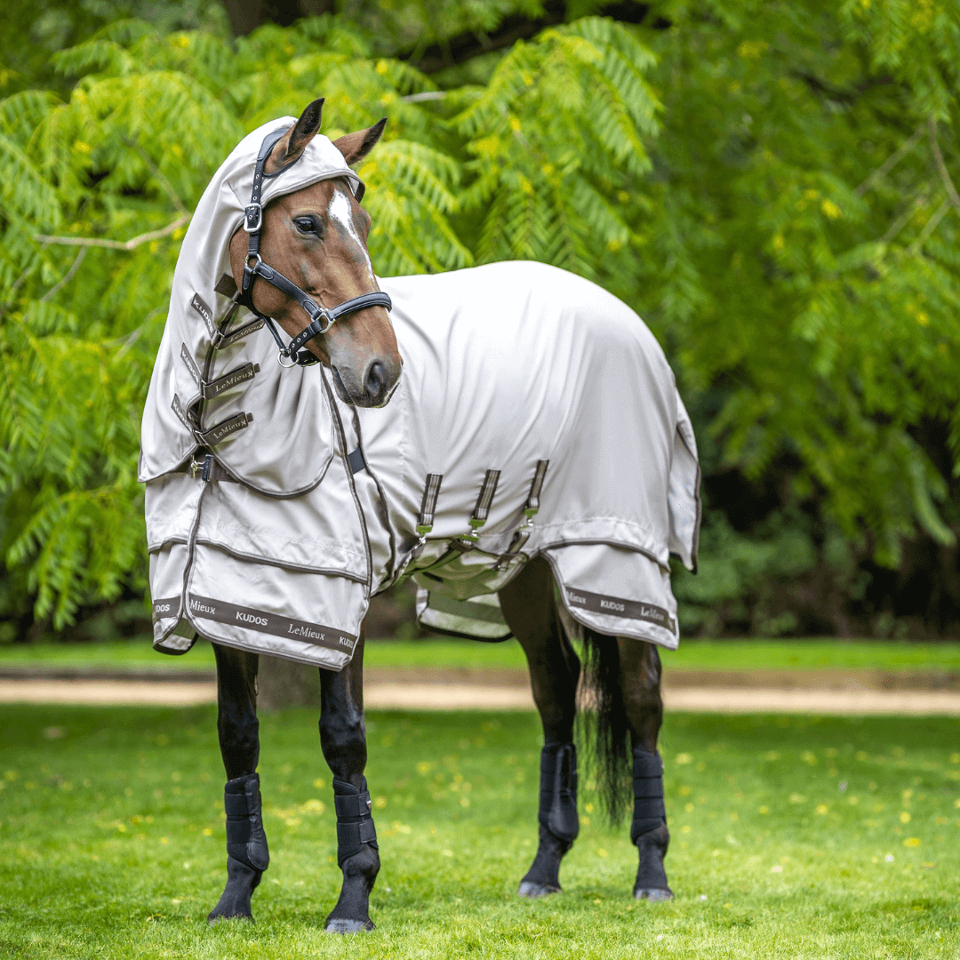 lemieux_kudos_Exzemer_Weidedecke_greemillaa