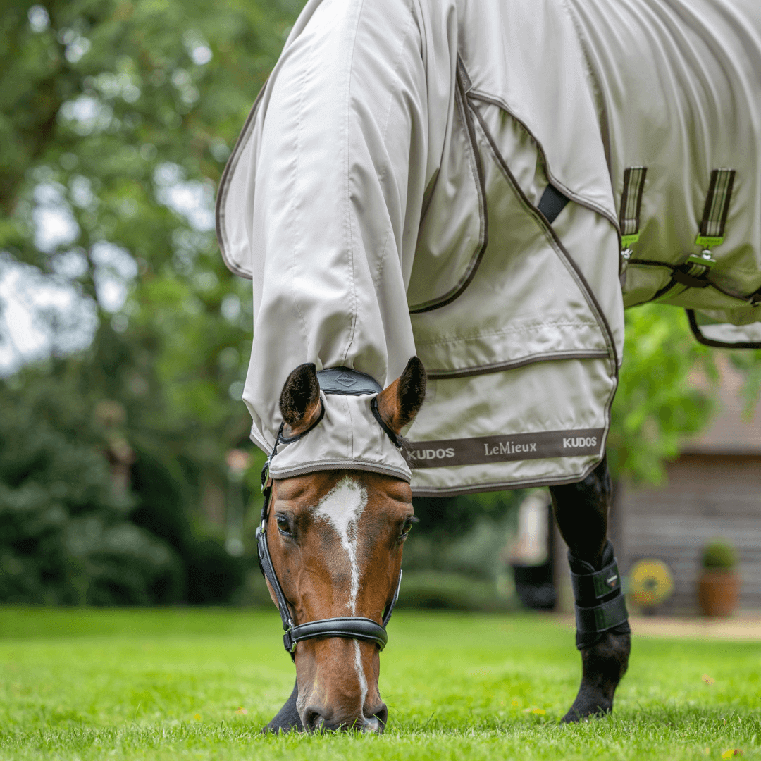 lemieux_kudos_Exzemer_Weidedecke_greemillaa