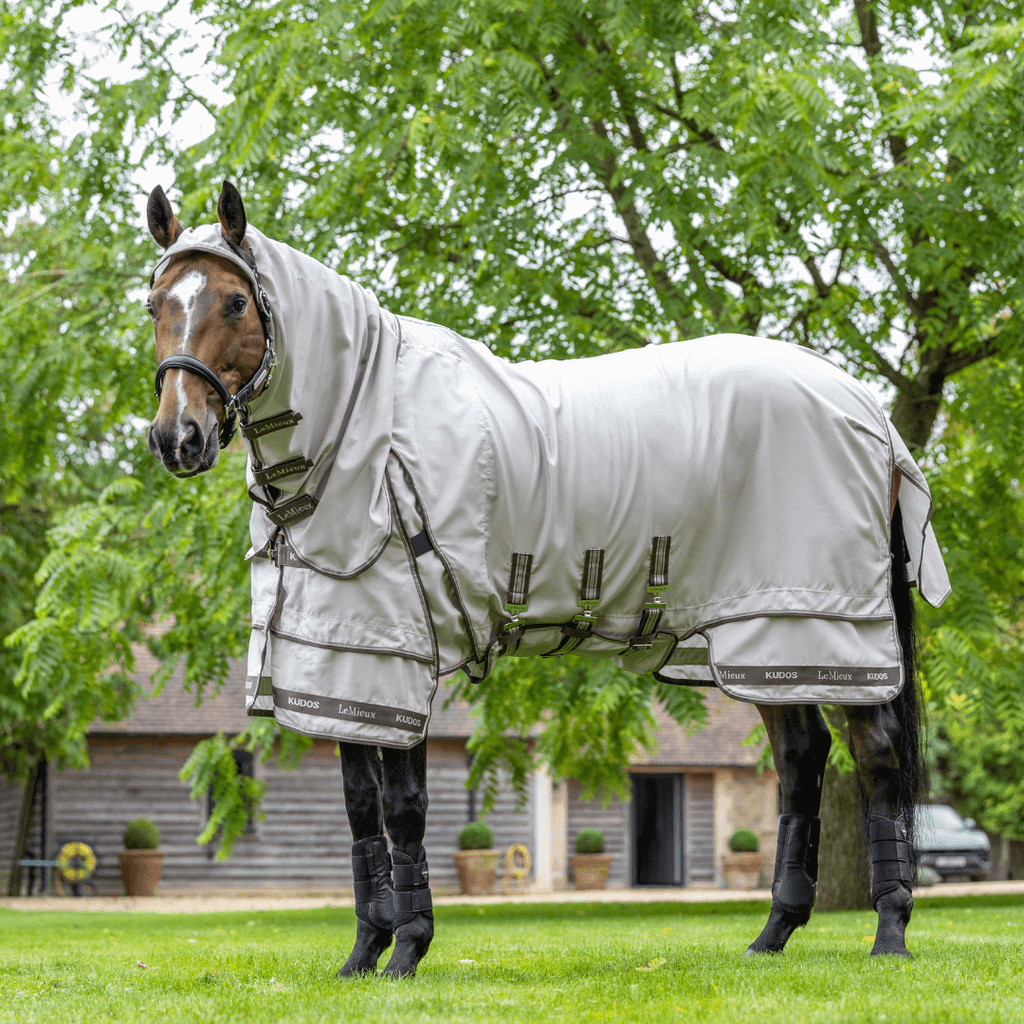 lemieux_kudos_Exzemer_Weidedecke_greemillaa