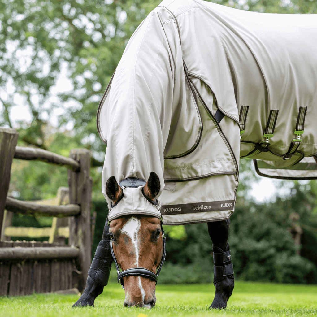 lemieux_kudos_Exzemer_Weidedecke_greemillaa