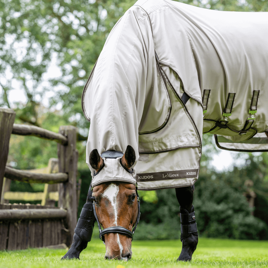 lemieux_kudos_Exzemer_Weidedecke_greemillaa