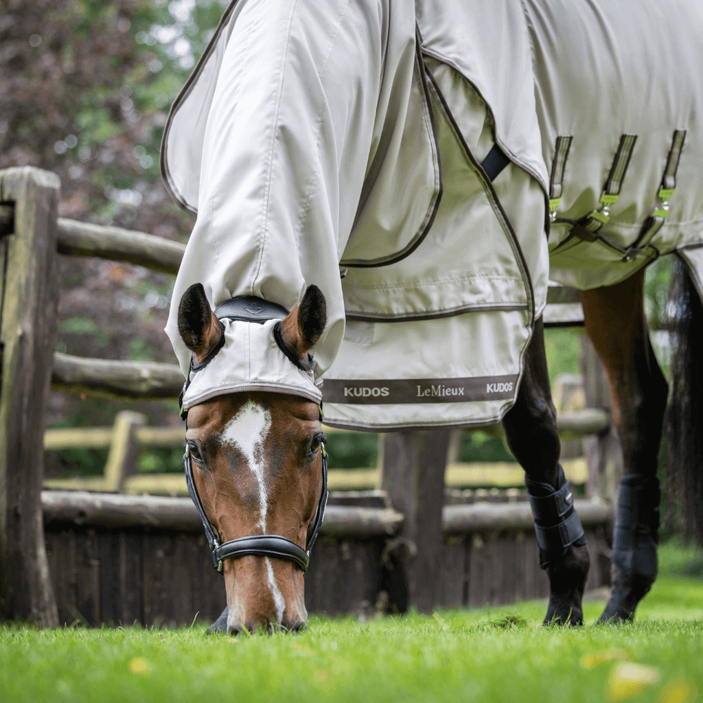 lemieux_kudos_Exzemer_Weidedecke_greemillaa