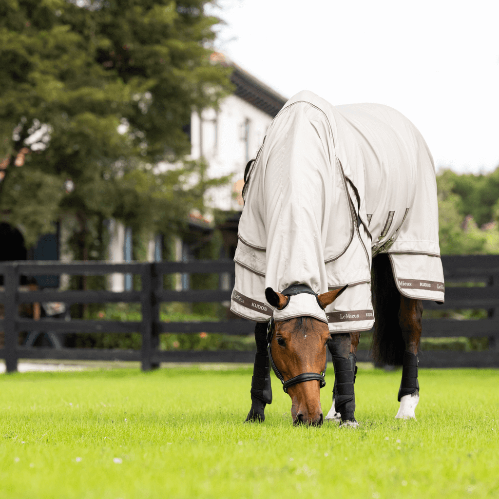 lemieux_kudos_Exzemer_Weidedecke_greemillaa